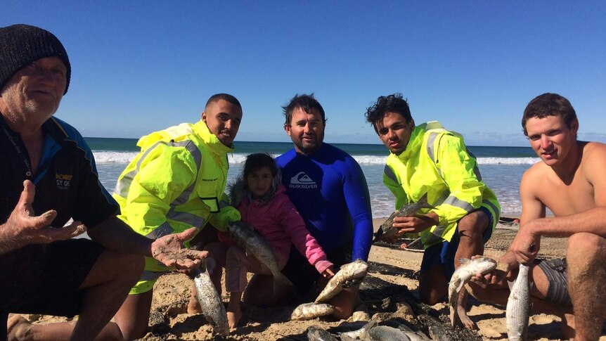 Commercial fishermen on beach with mullet