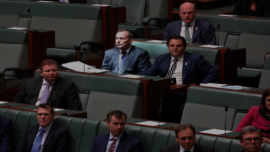 Light shining on from outside onto former prime minister and member for Waringah Tony Abbott in the House of Representatives