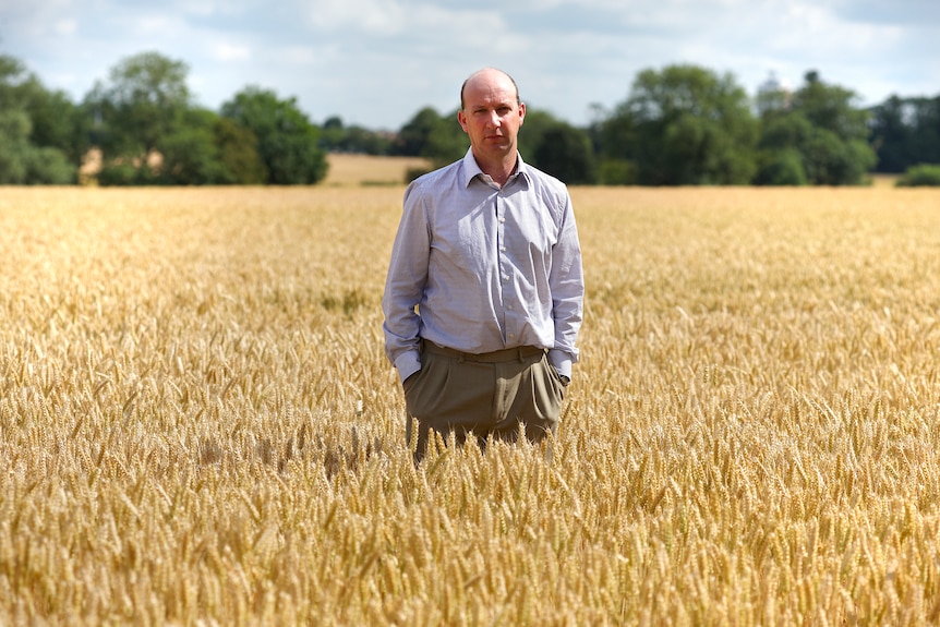 A man stands in a wheat paddock. He is looking at the camera with his hands in his pockets.