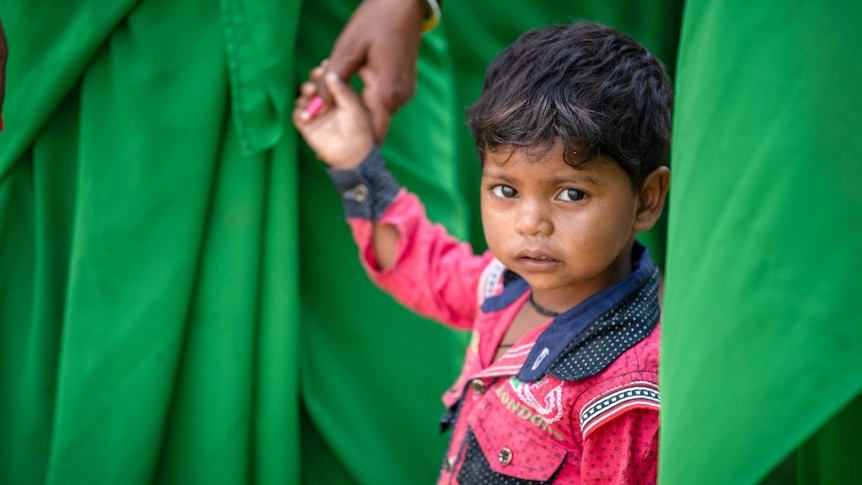 A small child looks at the camera surrounded by women in green saris