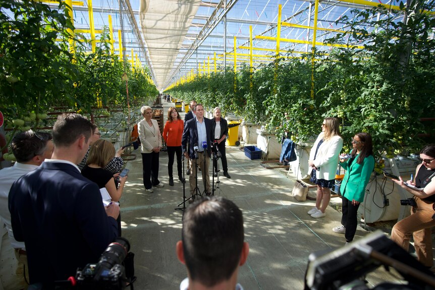 A group of people in front of microphones stand in a greenhouse.