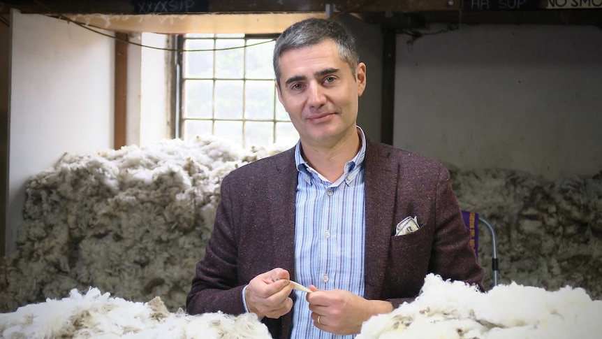 Italian wool buyer Davide Fontanento examines wool at a Tasmanian wool producer