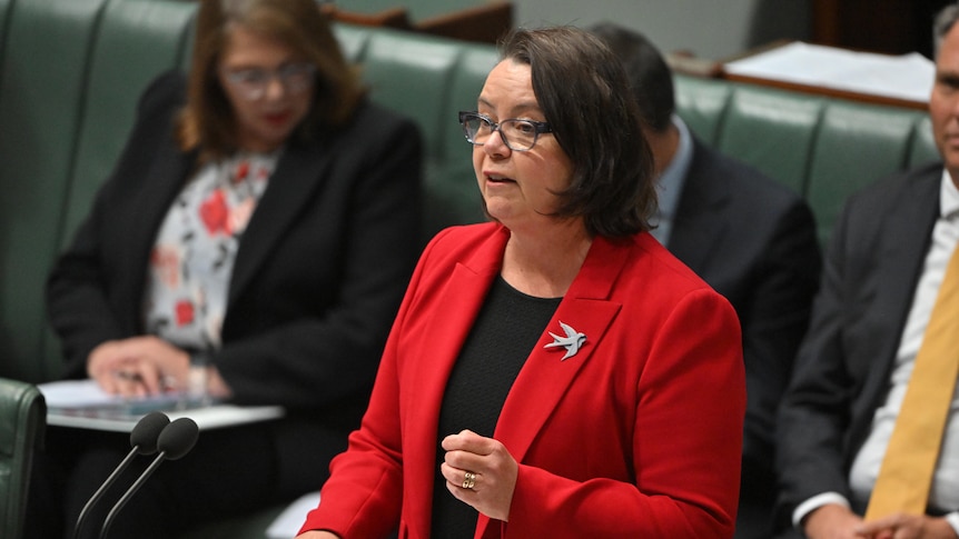 Madeleine speaks in parliament in a bright red blazer, black glasses and gestures with her left hand.