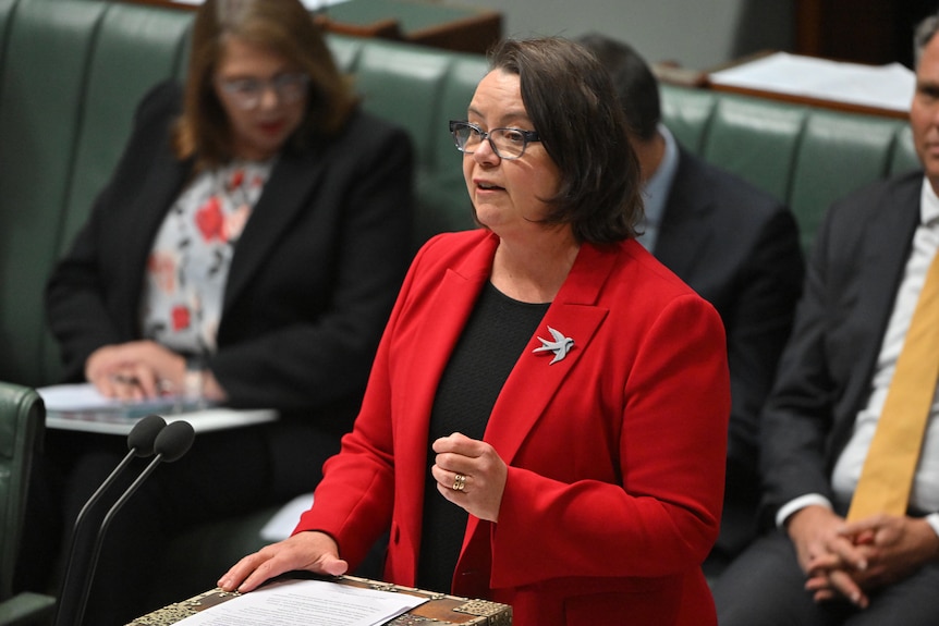 Madeleine speaks in parliament in a bright red blazer, black glasses and gestures with her left hand.