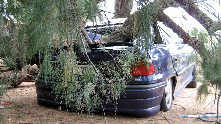 A tree lies across the back of a car at Broadview in Adelaide after a storm.