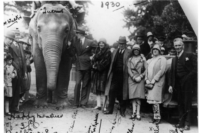 Melbourne Zoo's elephant called Queenie with ABC Radio's Children's Hour