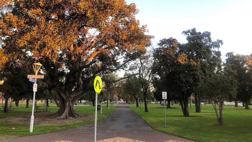 A park with trees and a path through the middle