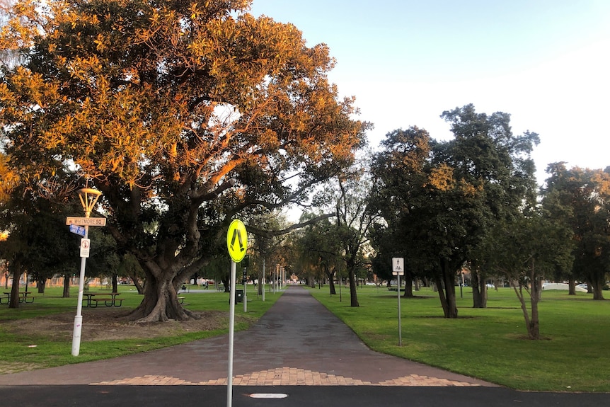 A park with trees and a path through the middle