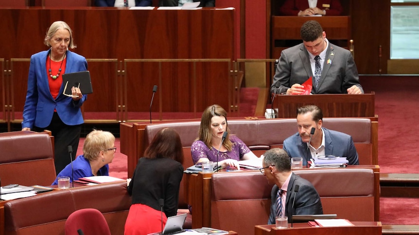 Greens senators in a huddle in the parliament with Jordon Steele-John isolated at his desk behind them