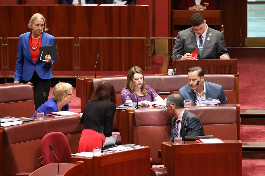 Greens senators in a huddle in the parliament with Jordon Steele-John isolated at his desk behind them