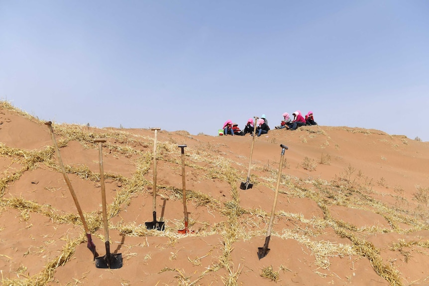 Shovels stand upright in the soil in the foreground and people sit together on a soil hill.