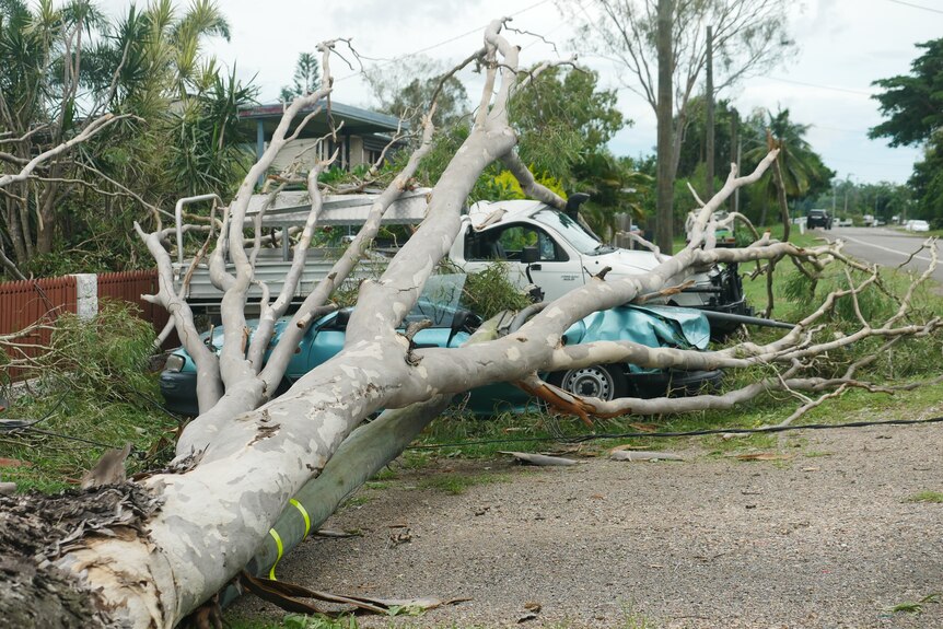A huge gum tree and a power pole lie on top of a crushed up white ute and a light blue sedan on a Townsville street