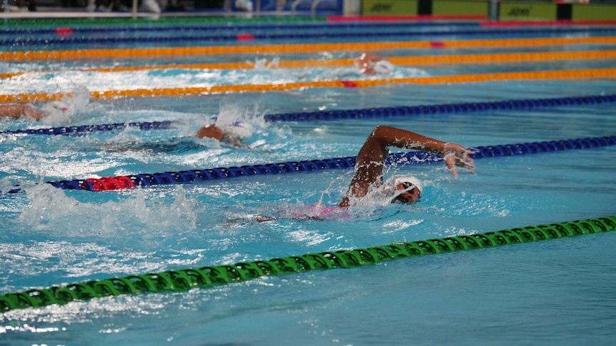 Athlete swimmers in lane pool race at the Pacific Games. 