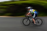 A man on a bike in lycra rides along a road flanked by green bushes.