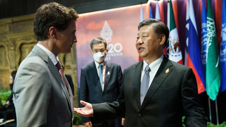 Justin Trudeau in grey suit (left) and Xi Jinping in black suit gestures while speaking.