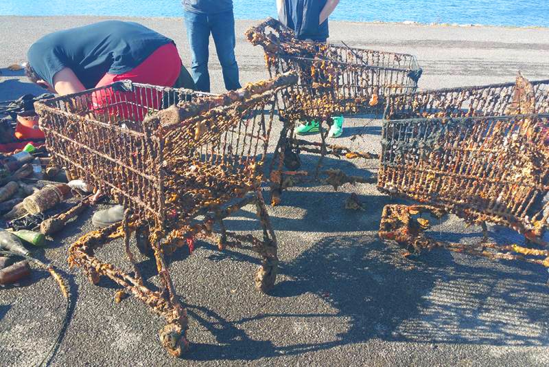 Shopping trolleys encrusted in seaweed after being retrieved from river.