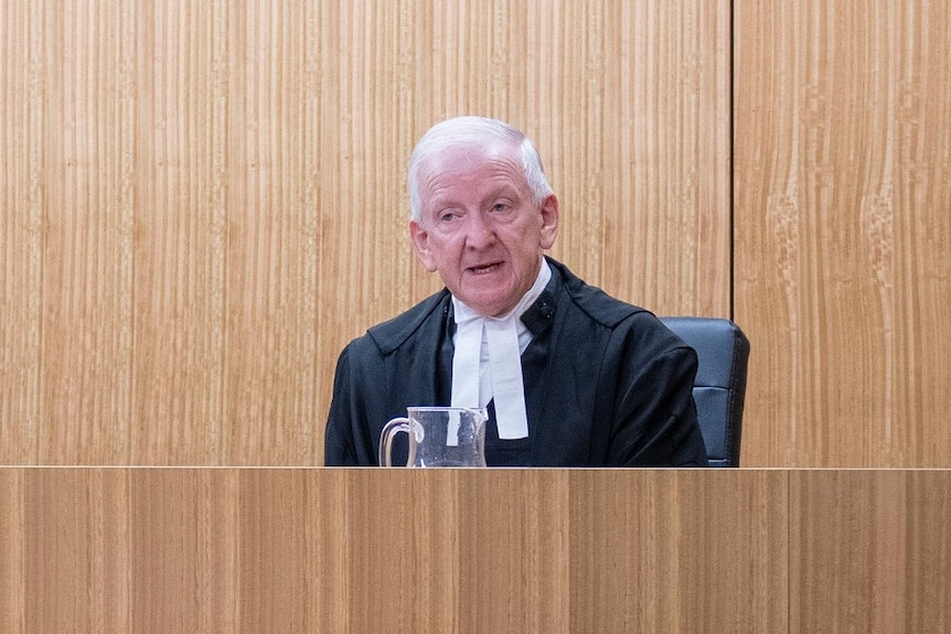 Former NSW senior drug court judge Roger Dive