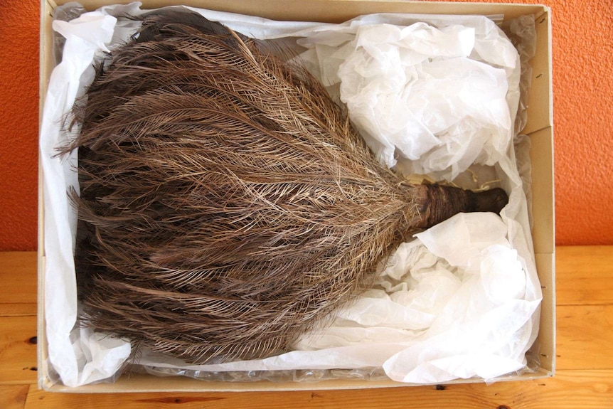 feathers in a box