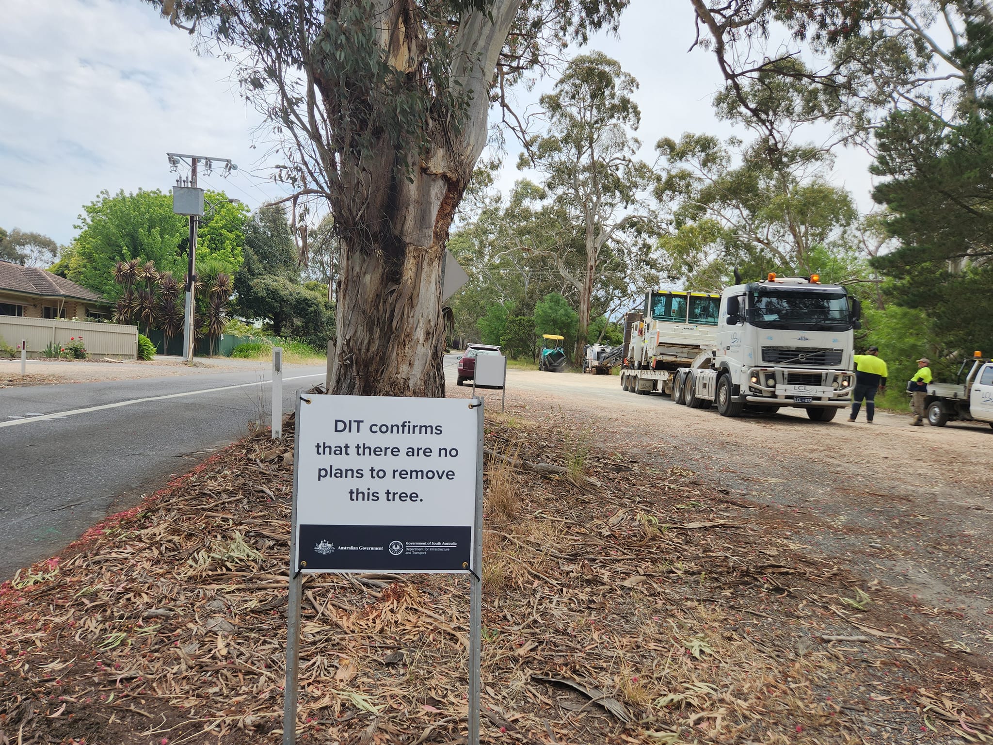 Government sign raises a smile for tree lovers in Echunga - ABC listen
