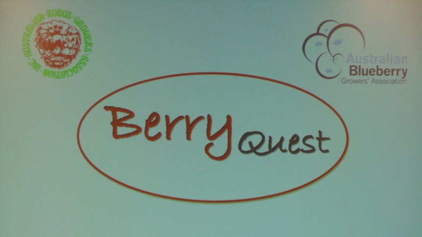 BerryQuest 2009