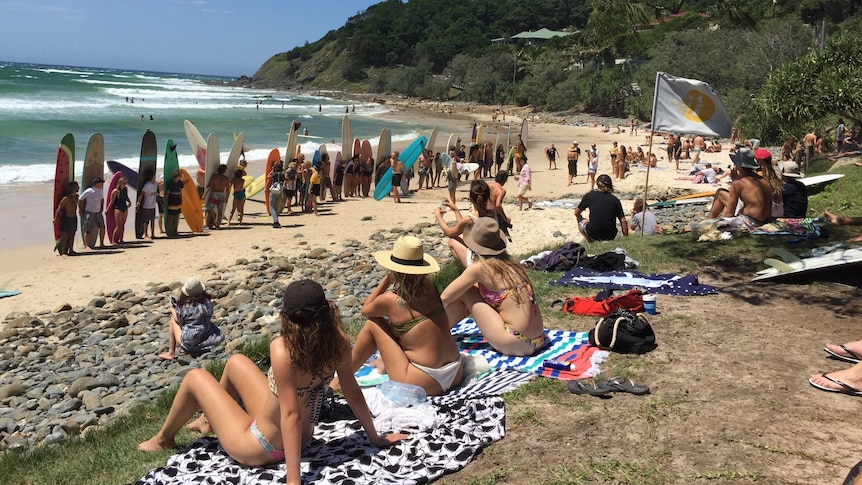Women sitting on a grassy headland looking at a line of surfers on the sand standing with their longboards