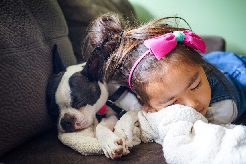 Little girl and puppy asleep on sofa together