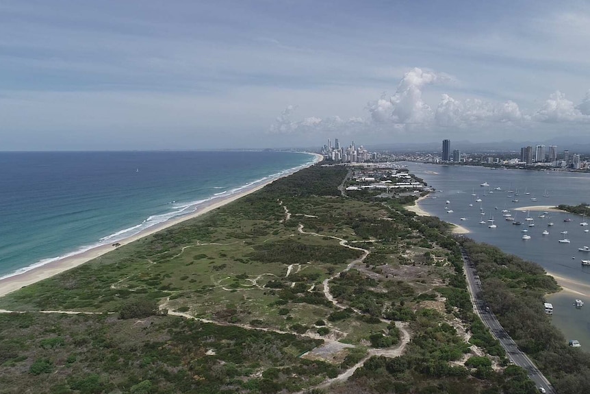 aerial shot of green land