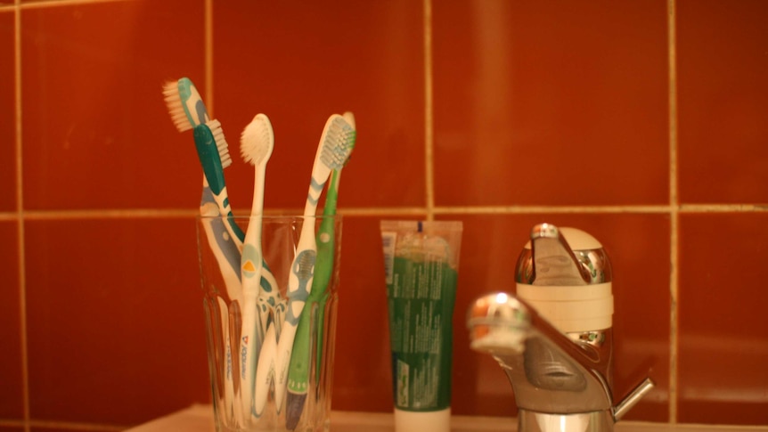 A collection of toothbrushes in a cup in a bathroom