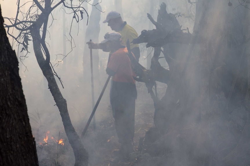 Members of cultural burn crew stand in smoke from fire