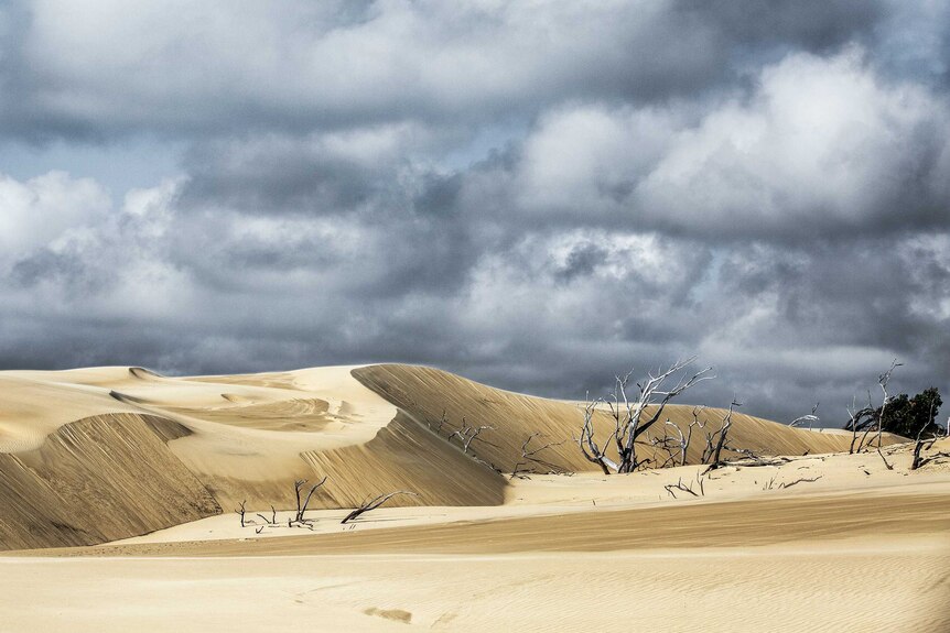 A large sand dune with cloudy sky above.