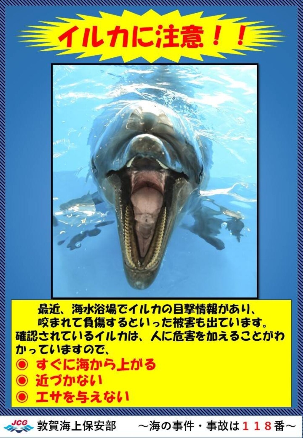 Dolphin warning poster