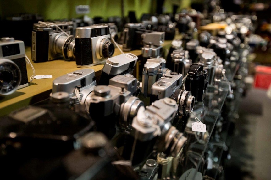A collection of more than 1,300 film cameras that has been gathered over the last 50 years