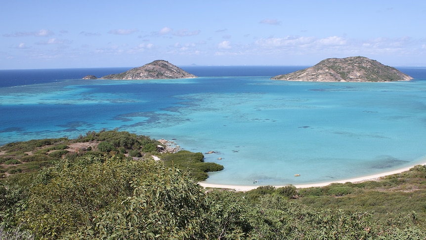 An idyllic view of blue water and a beach with green trees in the foreground.  