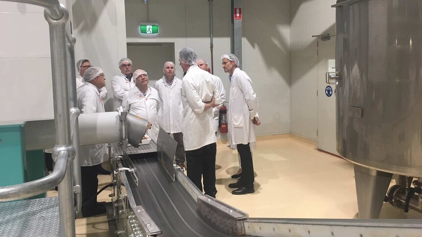 A group of workers wearing white coats and hairnets standing next to a production line inside the Haigh's Chocolates factory.