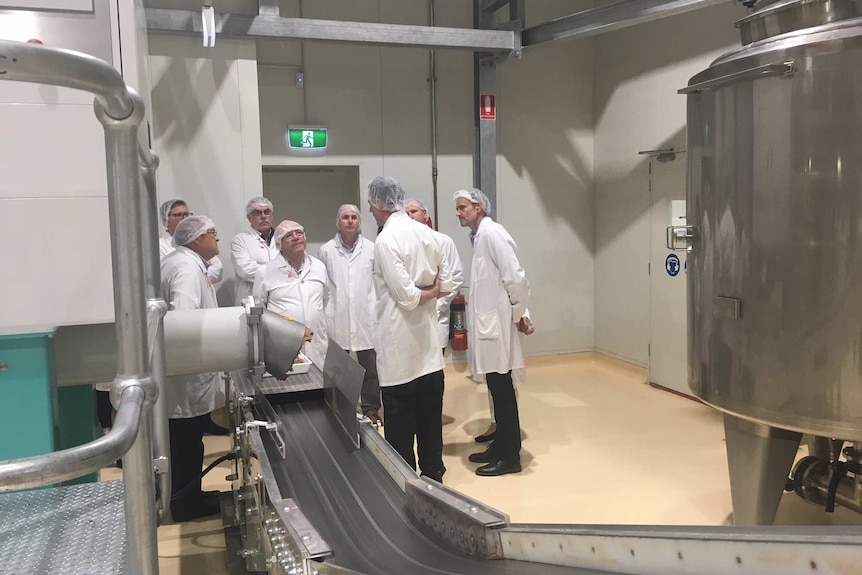 A group of workers wearing white coats and hairnets standing next to a production line inside the Haigh's Chocolates factory.