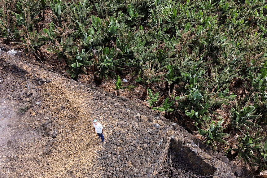 Un granjero se encuentra en un campo destruido por lava. 