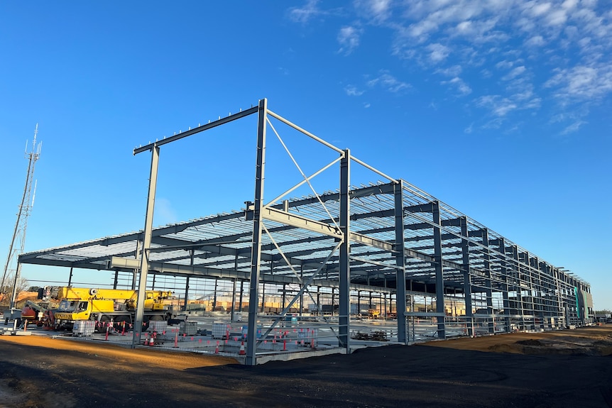steel frame of new timber mill construction site