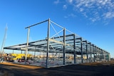 steel frame of new timber mill construction site