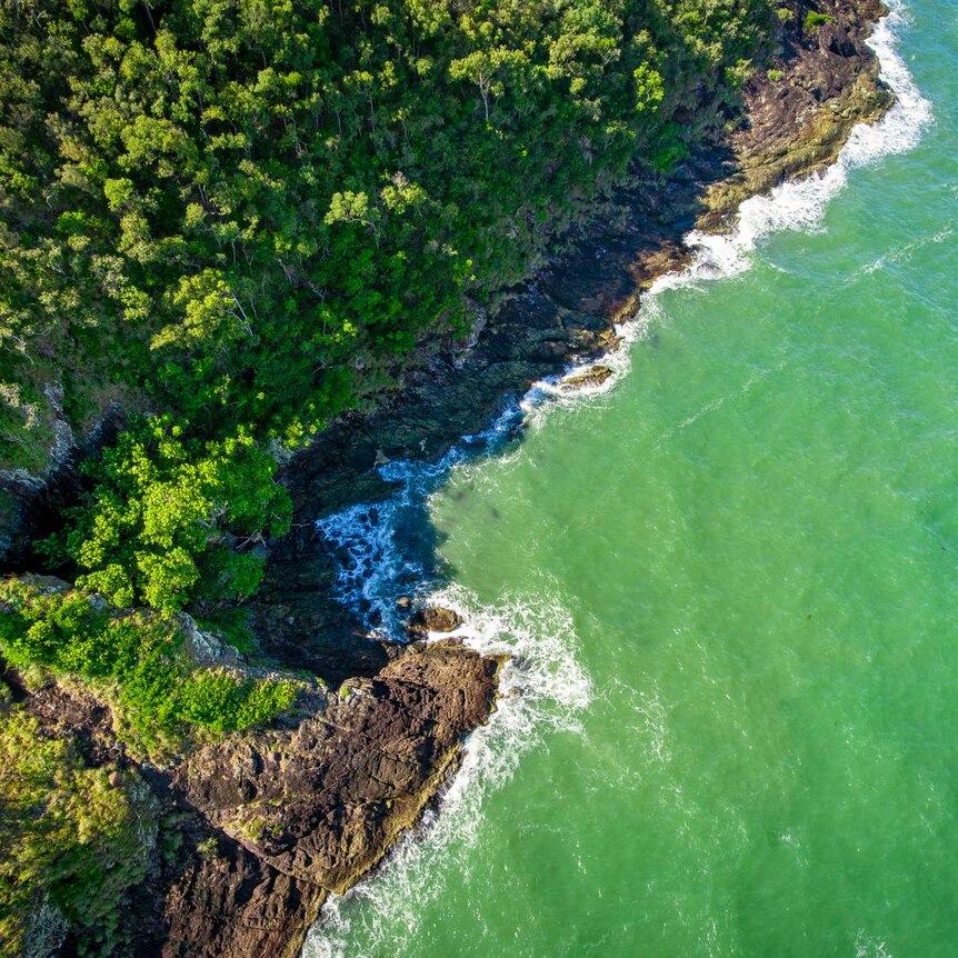 Drone shot of Daintree Rainforest meeting the sea.