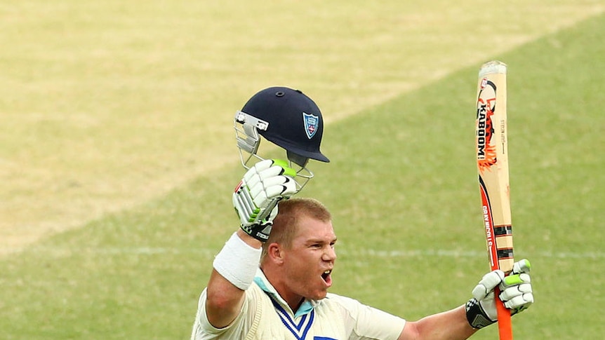 Older and wiser ... David Warner displayed patience on his way to a Shield-best 148. (file photo)