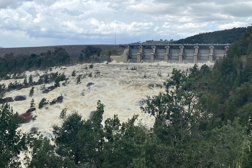 Water spills from a dam.