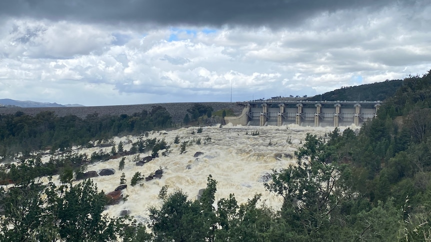 Water spills from a dam.