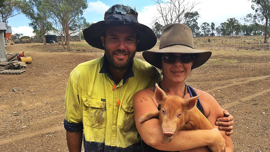 Pig farmers Belinda Marriage and Tim Ruddick raise heritage pig breeds on Queensland's Darling Downs.