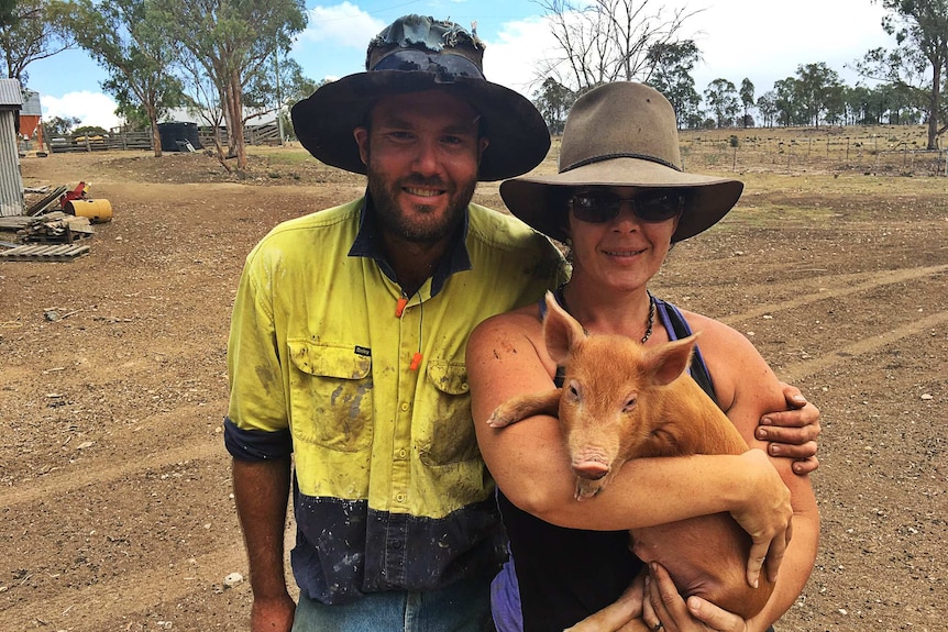 A man and a woman stand in a paddock holding a piglet.