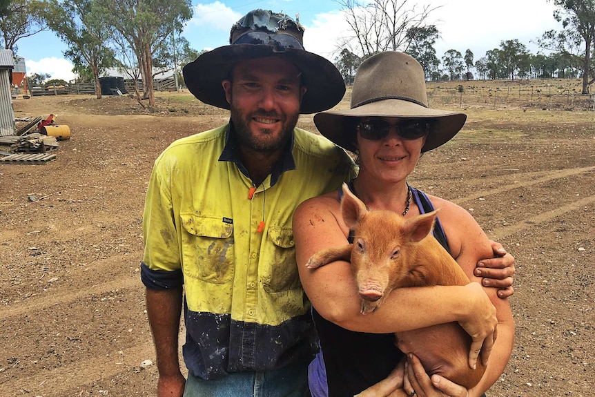 Pig farmers Belinda Marriage and Tim Ruddick raise heritage pig breeds on Queensland's Darling Downs.