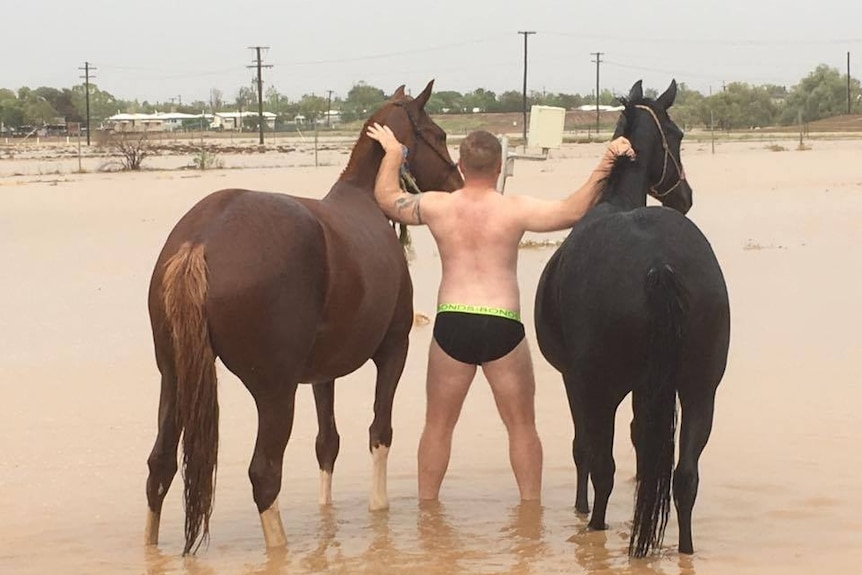 Cheeky locals in Winton following rain