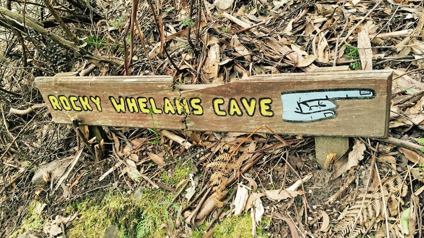Rocky Whelan's cave sign on Mt Wellington