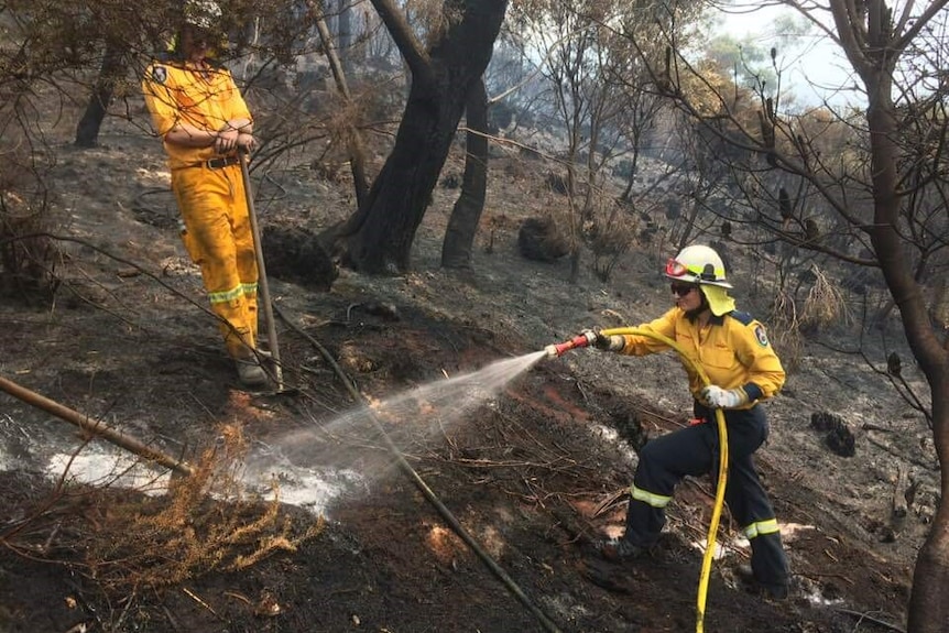 Two firefighters stand on a hillside putting out embers with a hose.