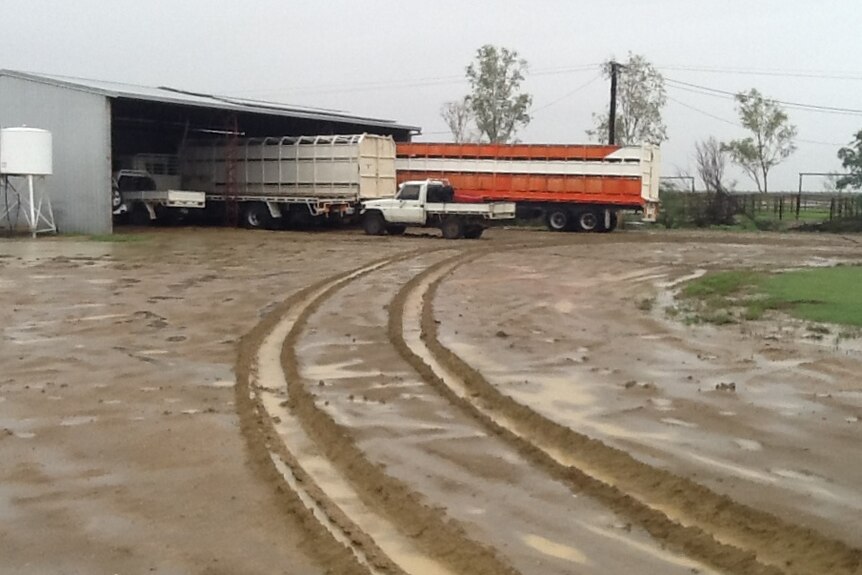 Trucks under a shed with mud and puddles in the foreground.