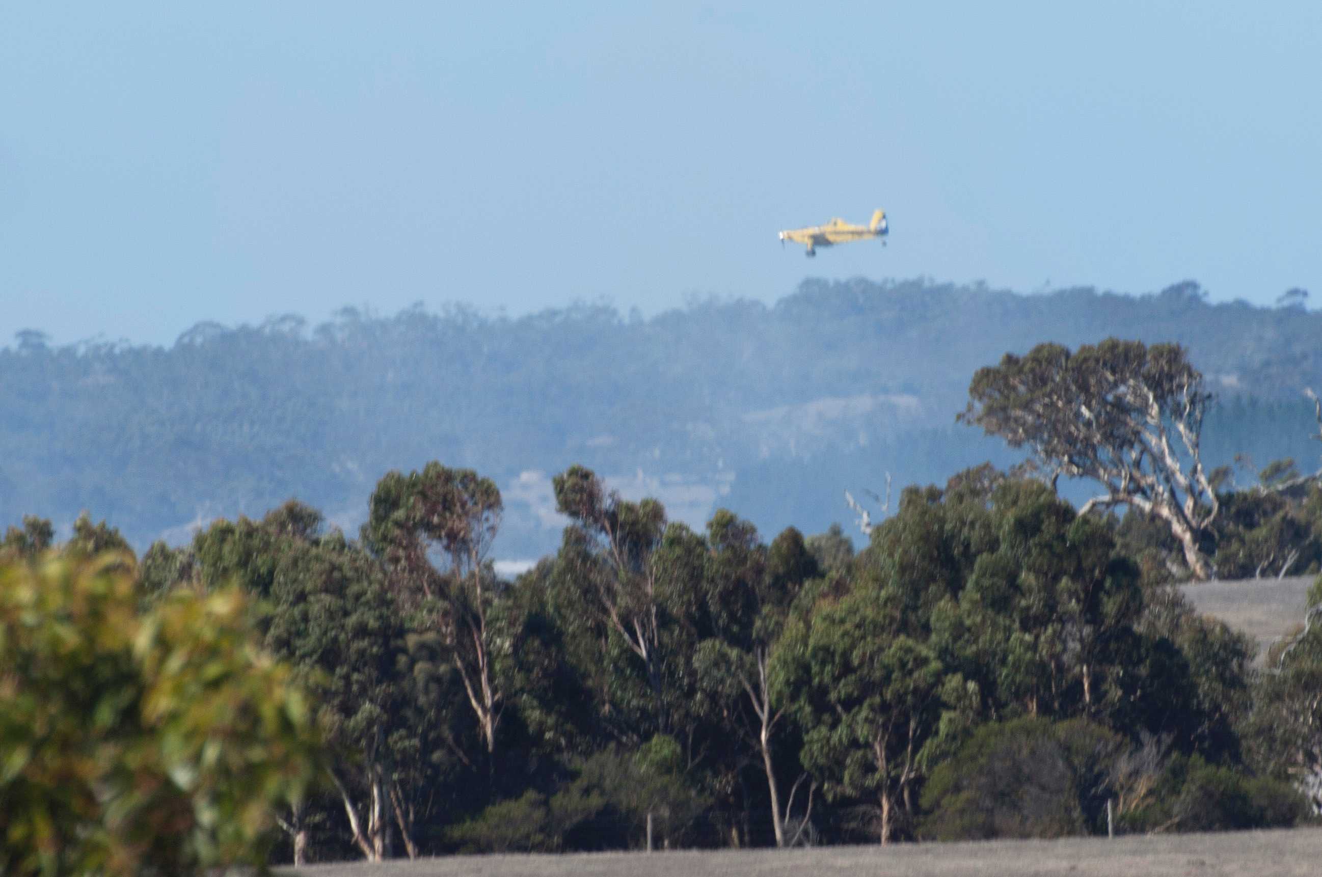 Water bombers help reduce threat from grass fire at Willunga in South ...
